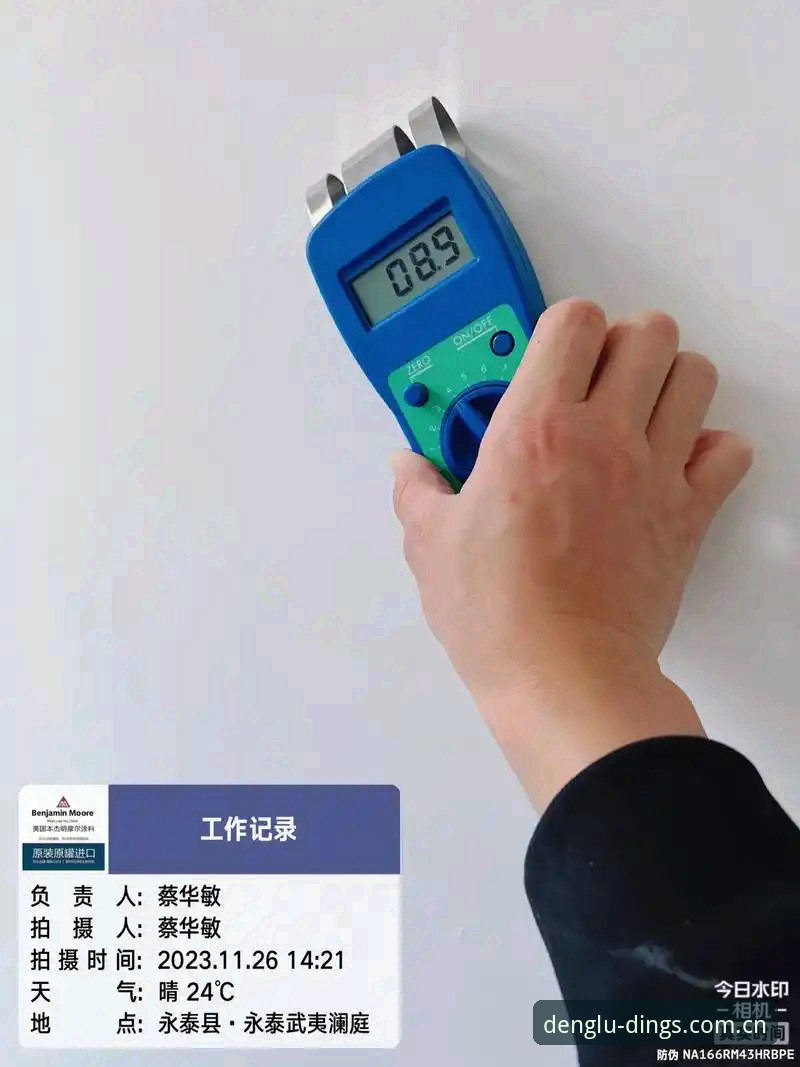 资深分析师实测：鼎盛DINGS官网登录官方下载全流程体验心得