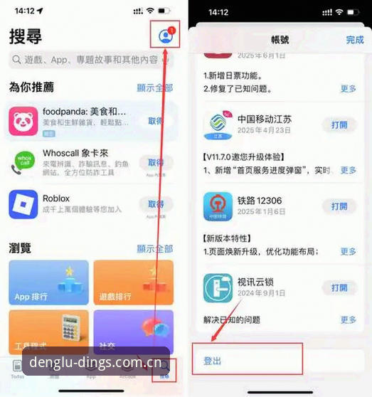 鼎盛DINGS下载与官网注册对比：新手选择哪个入口更省心？
